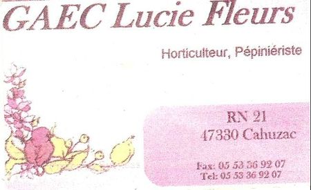 Lucie Fleurs