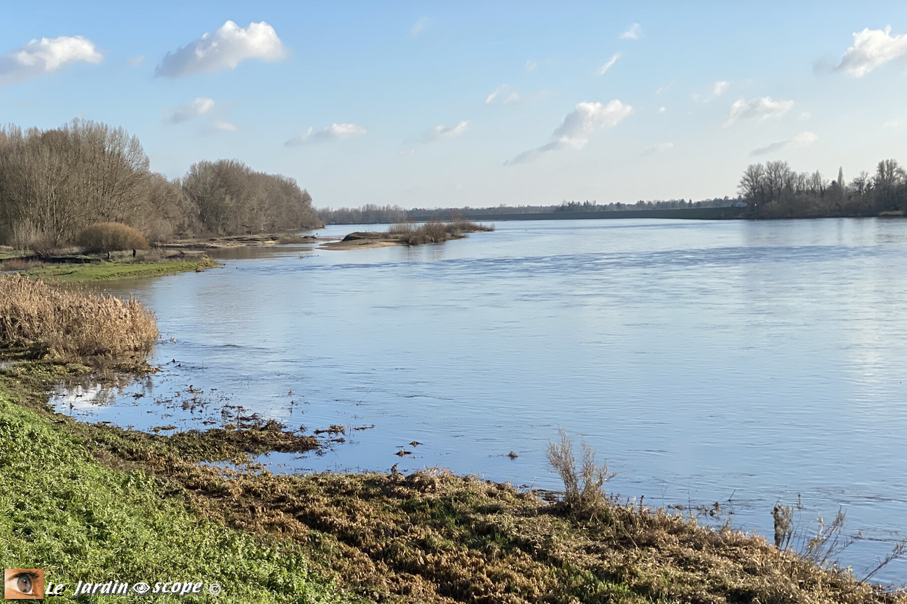 La Loire en amont de Combleux (45) en Janvier 2021