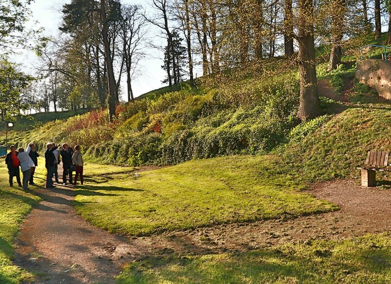 HIRSON TRAVAUX GRADINS 2014 Bureau municipal arbres