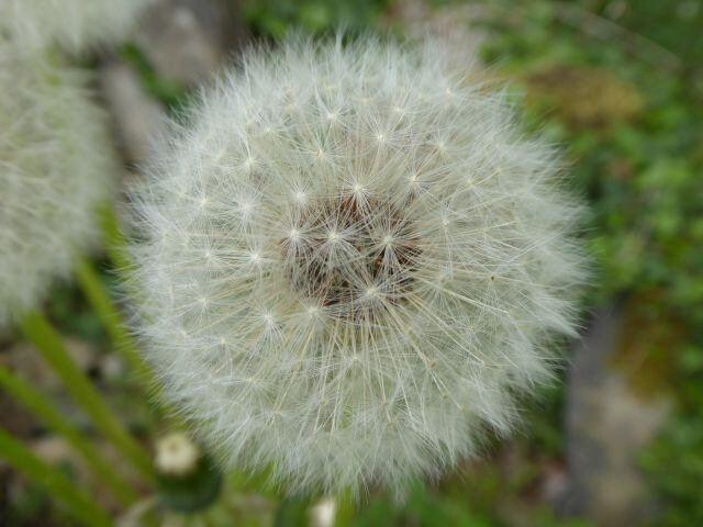 a37