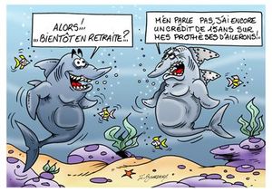 Requin retraite