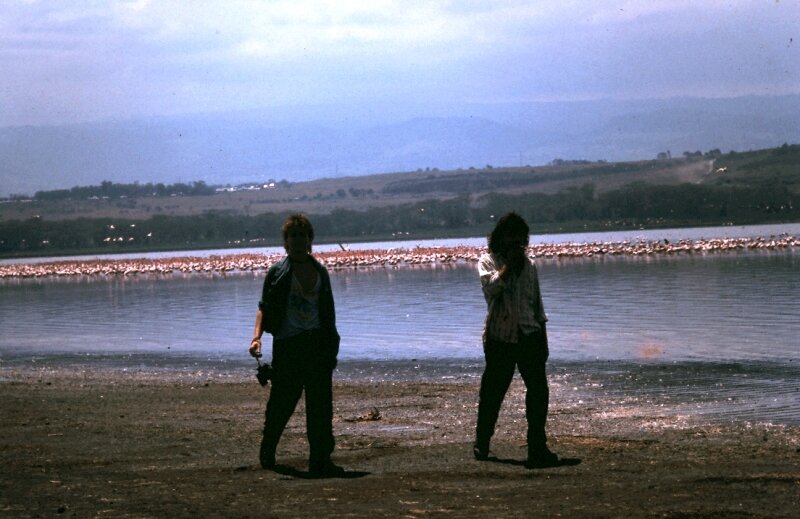 nakuru d