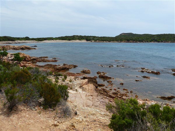 P1130017