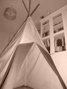 TIPI ESSAI (10)