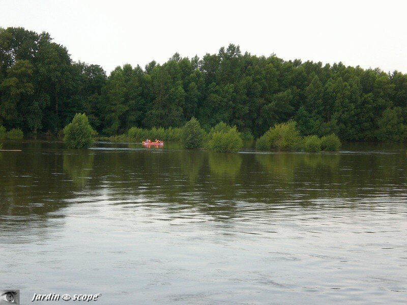 Descente de la Loire en Canoé-kayak