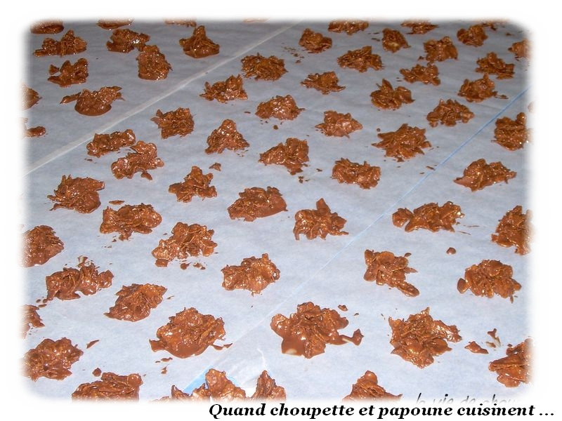 roses des sables-2