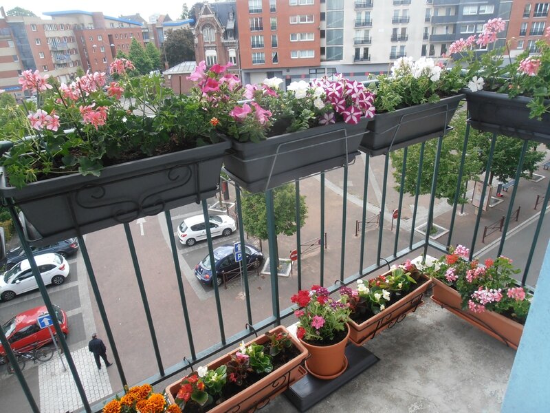 fleurissement du balcon 004