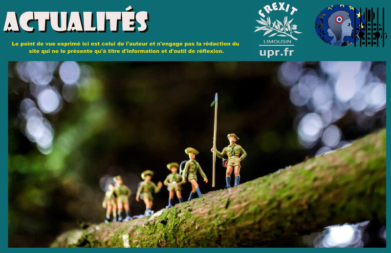 ACT SCOUTS