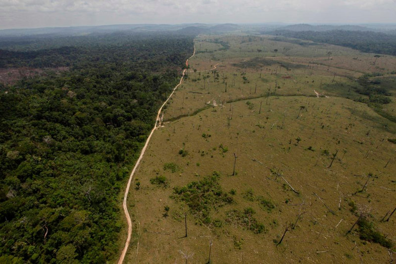 brazil_deforestation_12222015_1-1024x683
