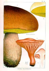 EPM_Plate_08