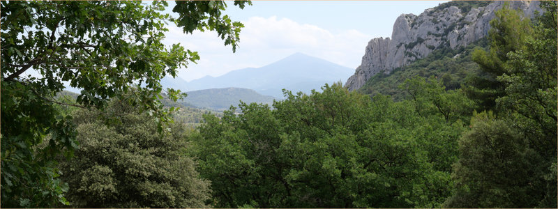 dentelles8