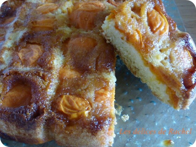 Detail tarte abricot