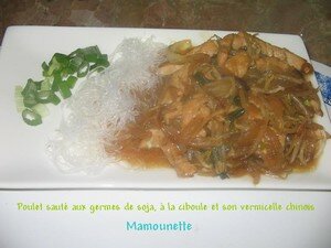 Chinois_repas__dinde_soja_vermicelle_015