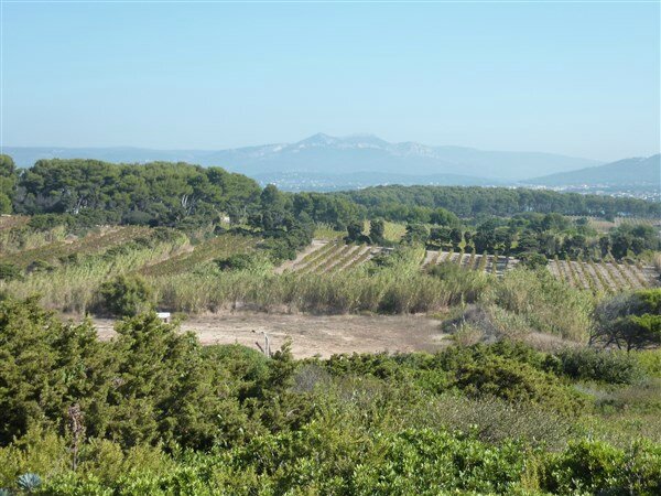 P1050694