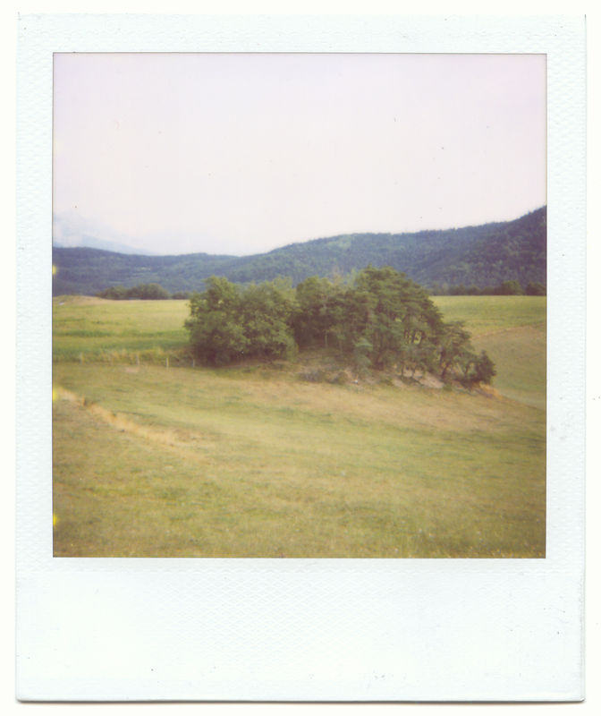 le puit du loup