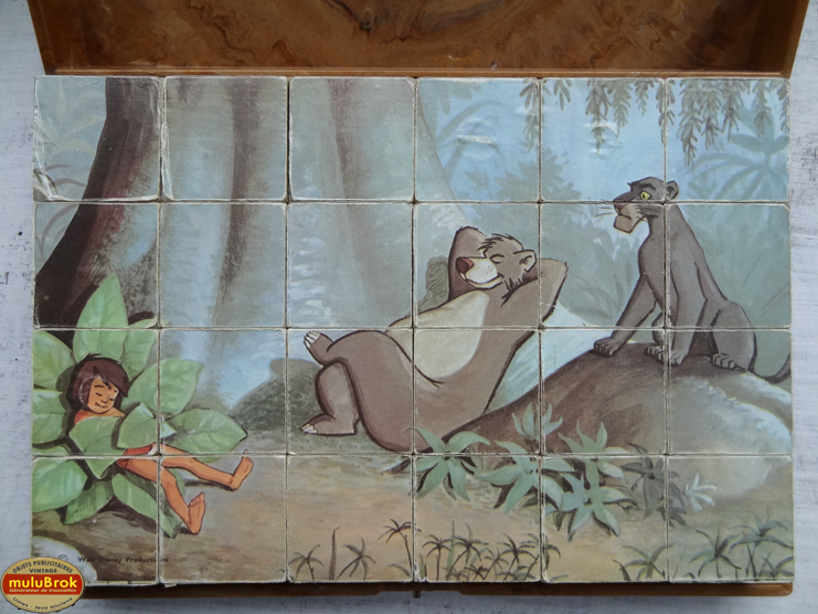 KB5 Livre Jungle muluBrok (5)