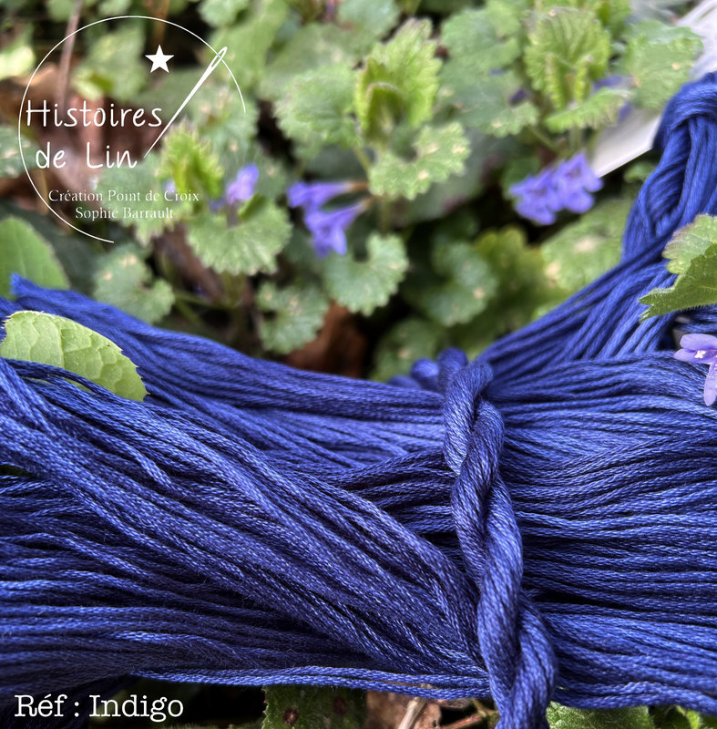 INDIGO 1