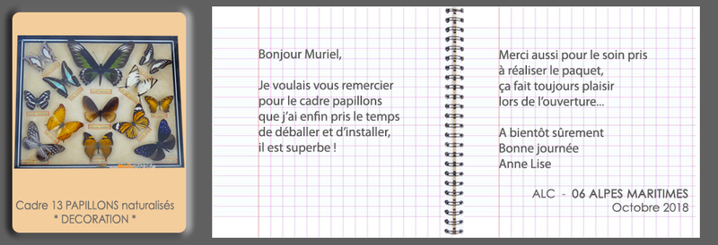 2018-10-PAPILLONS