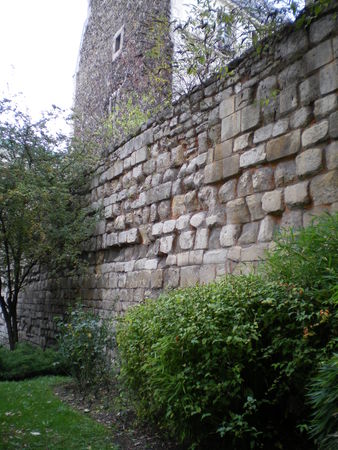 IMGP4377