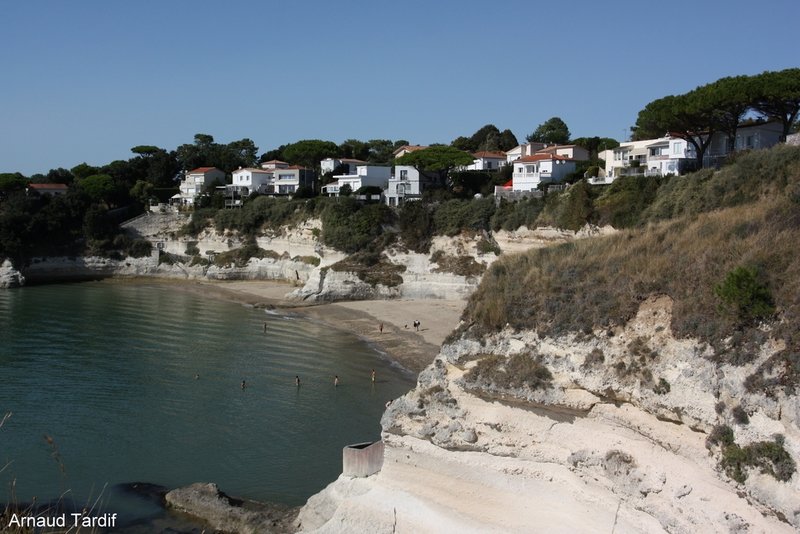 001603 Estuaire de la Gironde - Rive Droite - Les Falaises et la Plage des Nonnes de Meschers-sur-Gironde