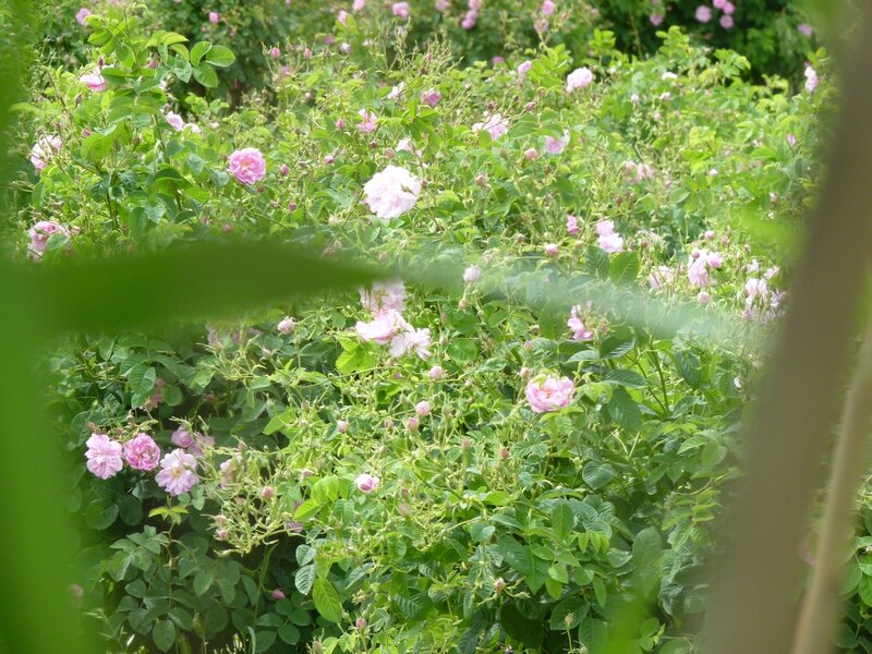 P1090874