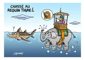 Requin tigre
