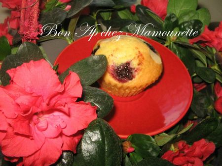 Petits gâteaux à la mûre sauvage 011