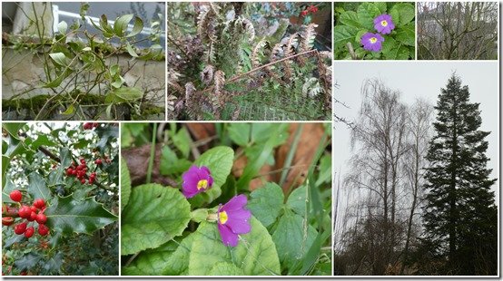 jardin 13 janvier 20241