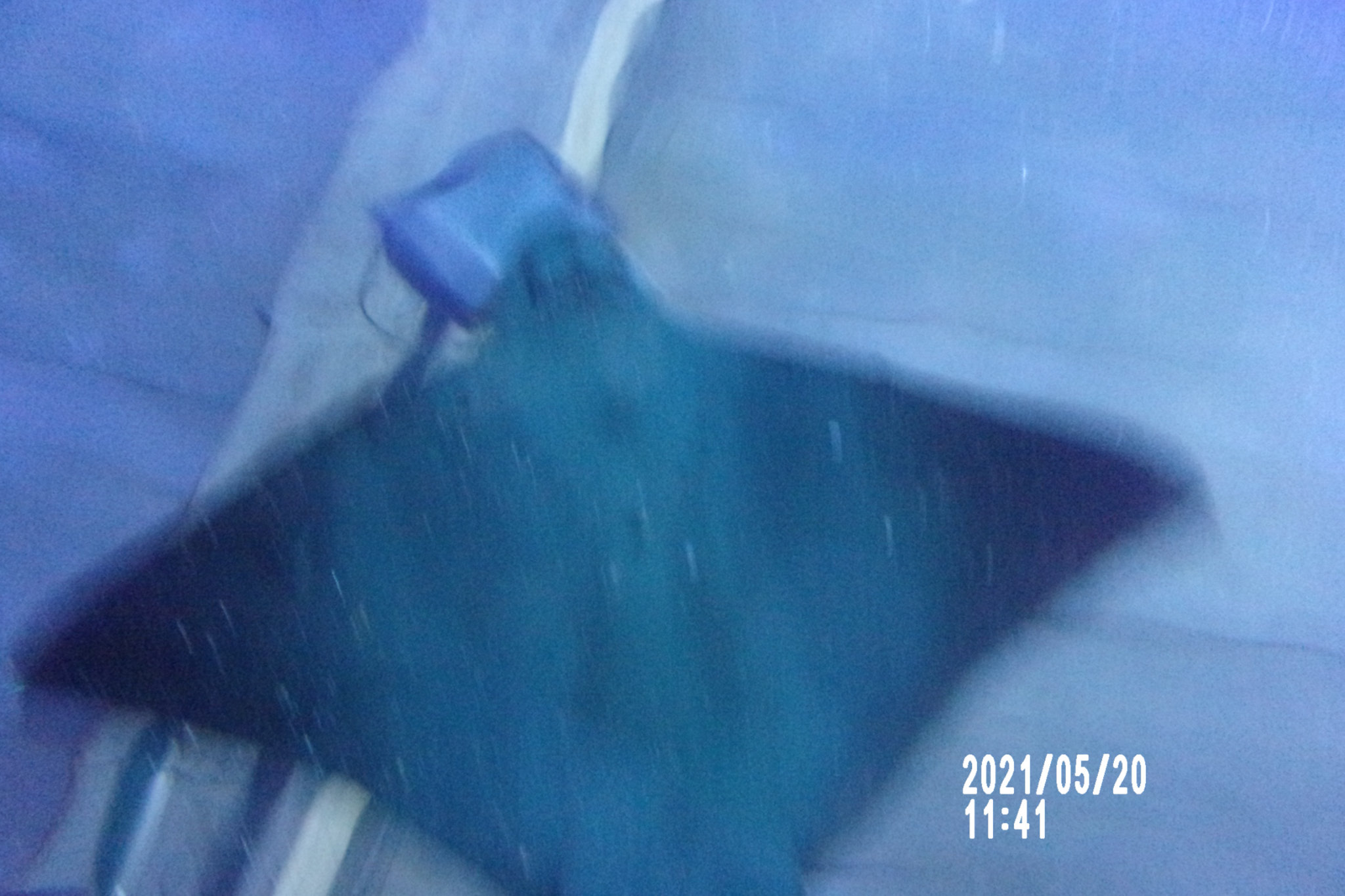 2021-05-20 11-41-10 - 104_1879