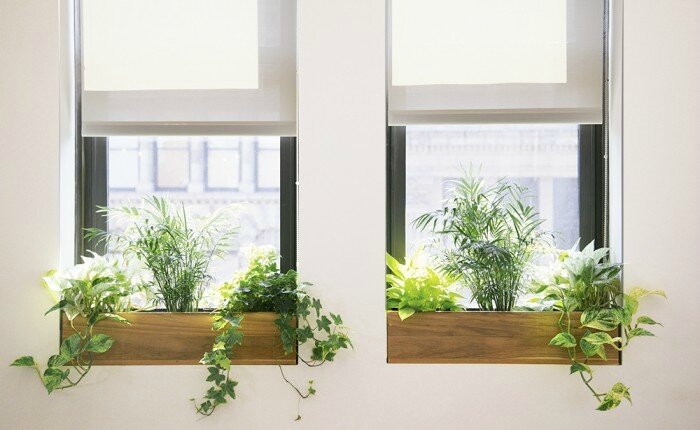 The_Sill_Space_13_gardenista