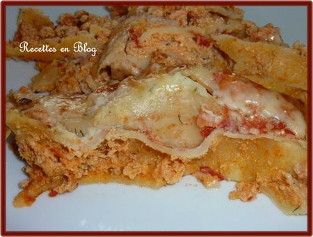 gratin_de_cannellonis_au_saumon2