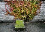 DSC03779