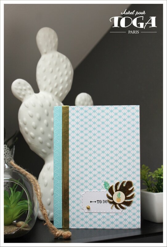 040917 - AGENDA_Color Factory Okaya - DT Toga Aurel (1)