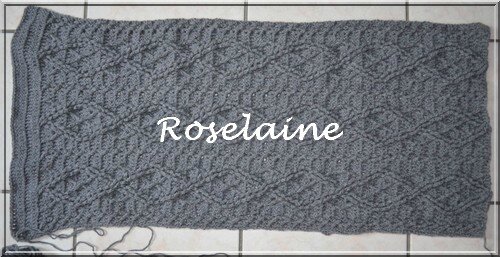 Roselaine124 Coussin crochet aran