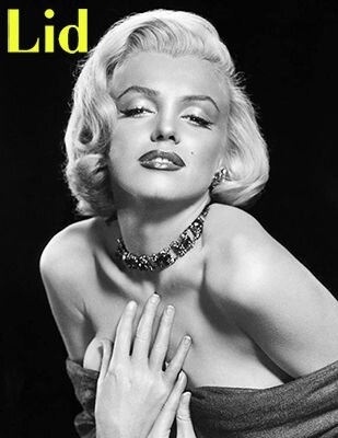 2009-12-lid-usa-cover2