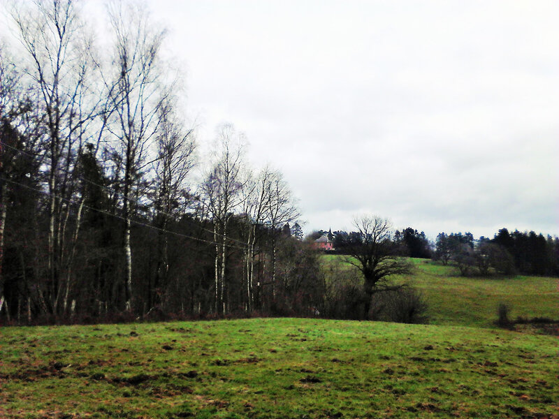 DSC_0005 (2)