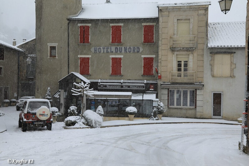 Photos JMP©Koufra 12 - Cornus - Neige - 28012019 - 0083