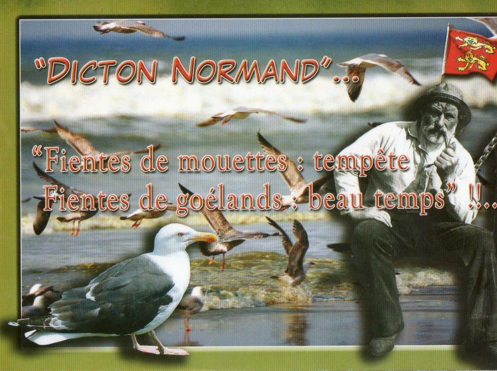 le Tréport carte postale