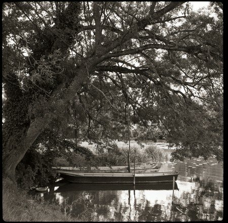 adox_63s_HP5_005