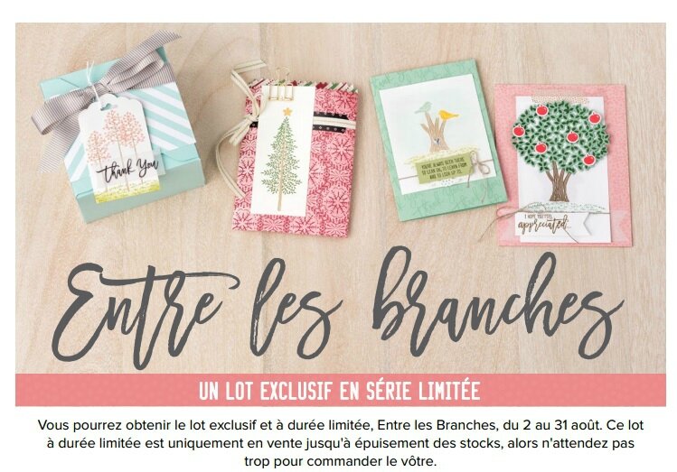 promo entre les branches