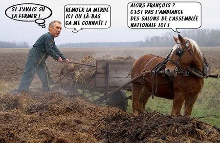 bayrou-fumier