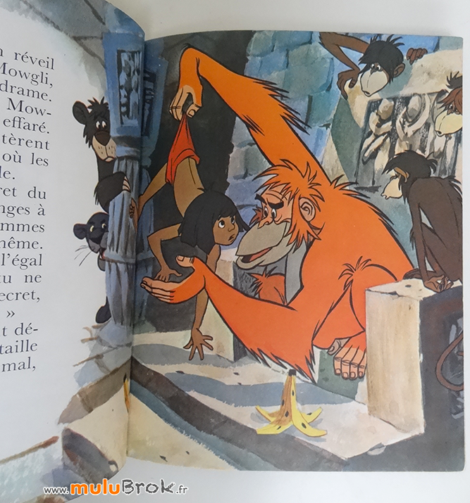 LE-LIVRE-DE-LA-JUNGLE-4-Livre-ancien-muluBrok