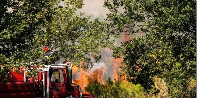 Départs de feu dans les Landes