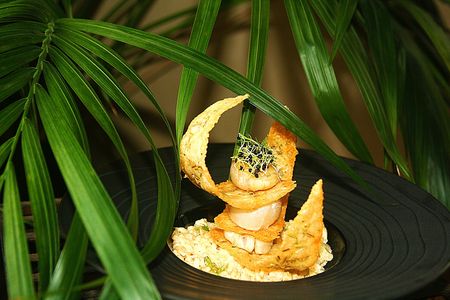 Envolée de Saint Jacques sur risotto au fenouil recettes Envolée de Saint Jacques sur risotto au fenouil