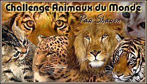 Logo-Sharon