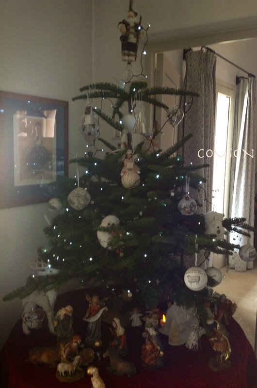 photo-1659