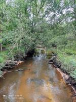 IMG_20210818_103848