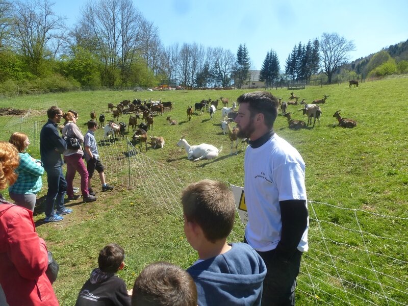 K les chèvres de Monsieur Seguin