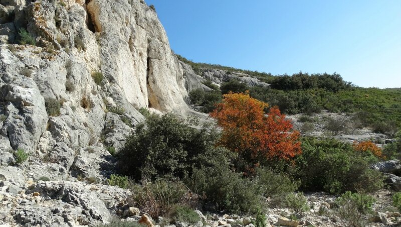 Colline 31 octobre (6)