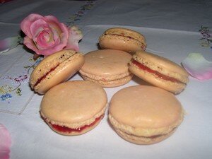 macarons_lenotre_001